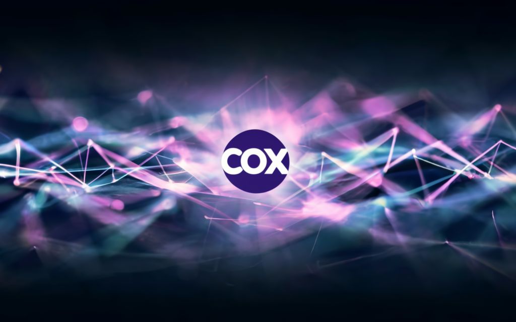 How much is Cox Internet by itself?